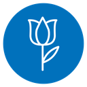 Tulip 2 icon