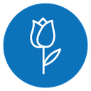 Tulip 2 icon