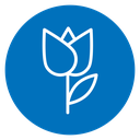 Tulip icon