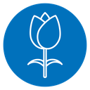 Tulip icon