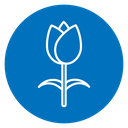 Tulip Flower icon