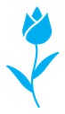 Tulip icon