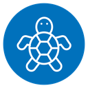 Turtle icon