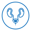 Urinary system icon