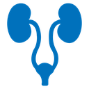 Urology icon