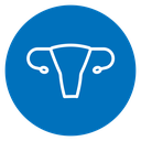 Uterus icon