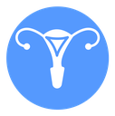 Uterus icon