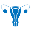Uterus icon