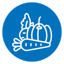 Vegetable icon