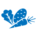 Vegetable icon