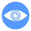 Visible icon