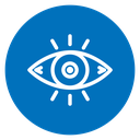 Vision icon