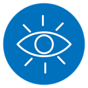 Vision icon