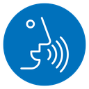 Voice recognition icon