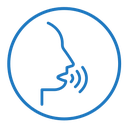 Voice recognition icon