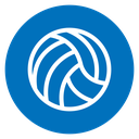 Volleyball icon
