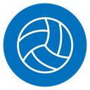 Volleyball icon