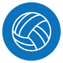 Volleyball ball icon