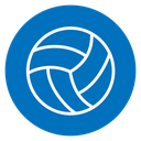 Volleyball ball icon