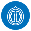 Walnut icon