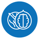 Walnut icon