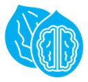 Walnut icon