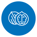 Walnut icon