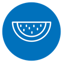 Watermelon icon
