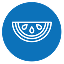 Watermelon icon