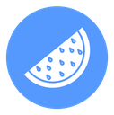 Watermelon Color Filled icon