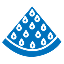 Watermelon icon