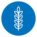 Wheat 2 icon