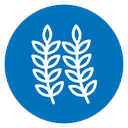 Wheat icon