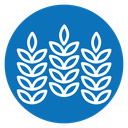 Wheat 2 icon