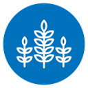 Wheat icon
