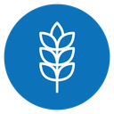 Wheat 2 icon