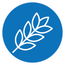 Wheat icon