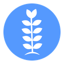 Wheat grain icon