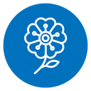Wild rose icon