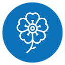Wild rose icon