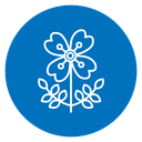 Wildflowers Color Filled icon