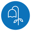 Wilted flower icon