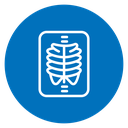 X ray 2 icon