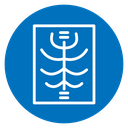 X ray icon