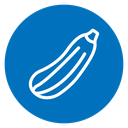 Zucchini icon