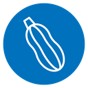 Zucchini icon