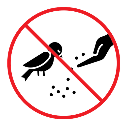 Do not feed birds sign color filled icon