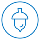 Acorn icon