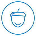 Acorn 2 icon