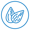 Almond 2 icon